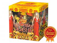 Красивая жизнь Фейерверк купить в Заринске | zarinsk.salutsklad.ru