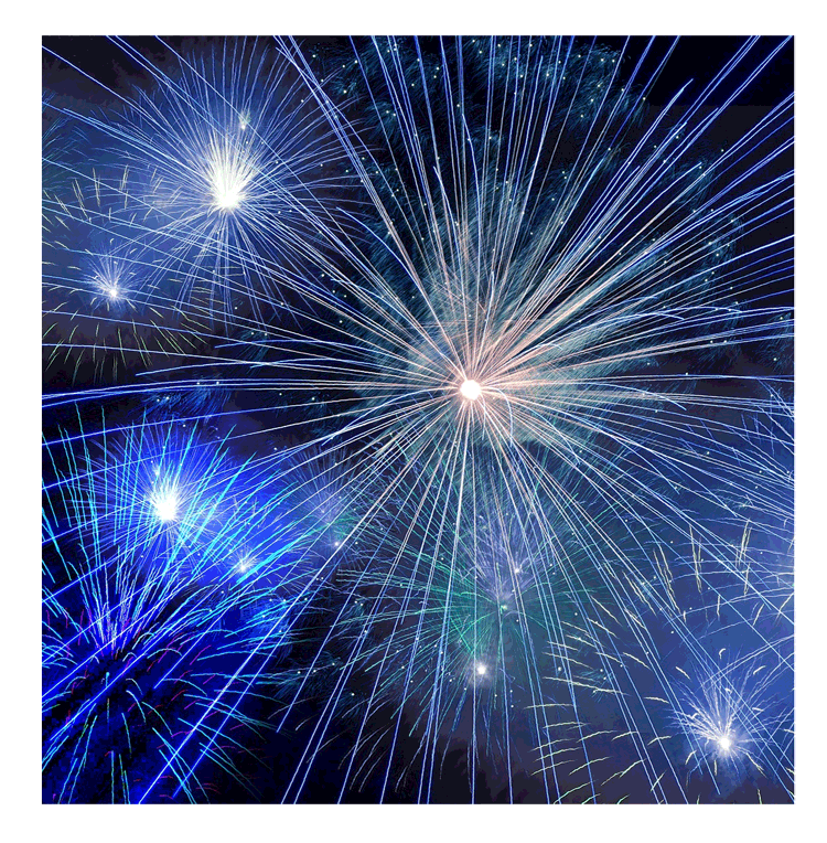 Организация фейерверков на Новый год  Заринск | zarinsk.salutsklad.ru