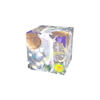 Новогодняя ночь Салют купить в Заринске | zarinsk.salutsklad.ru