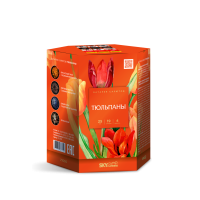 Тюльпаны Салют купить в Заринске | zarinsk.salutsklad.ru