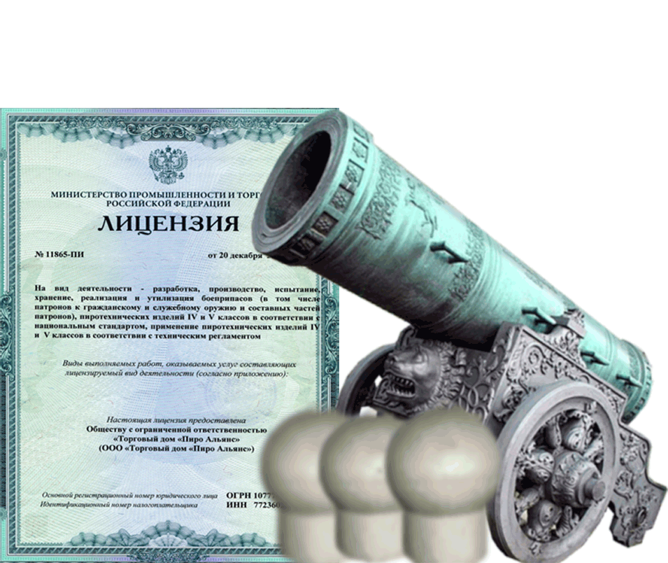 Заказать фейерверк на Новый Год - салют в Заринске