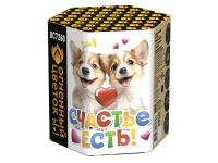 Счастье есть! Салют купить в Заринске | zarinsk.salutsklad.ru