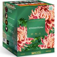 Хризантемы Фейерверк купить в Заринске | zarinsk.salutsklad.ru