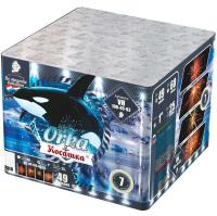 Косатка Фейерверк купить в Заринске | zarinsk.salutsklad.ru