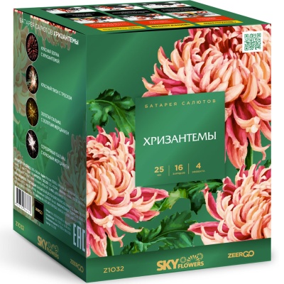 Хризантемы Фейерверк купить в Заринске | zarinsk.salutsklad.ru