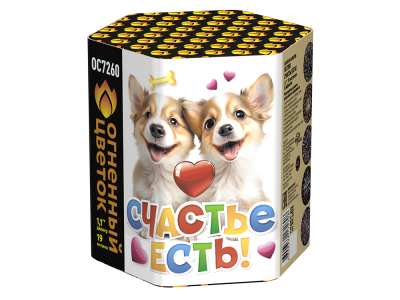 Счастье есть! Салют купить в Заринске | zarinsk.salutsklad.ru