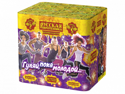 Гуляй, пока молодой Салют купить в Заринске | zarinsk.salutsklad.ru