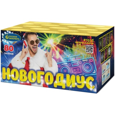 Новогодиус Фейерверк купить в Заринске | zarinsk.salutsklad.ru